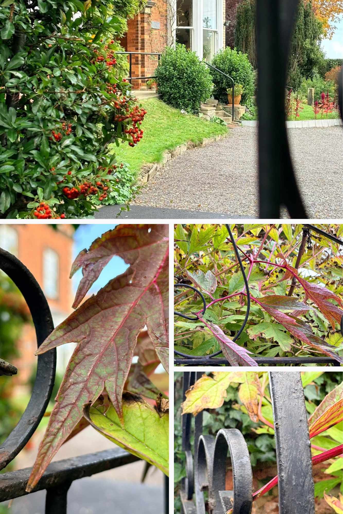 Gate photos